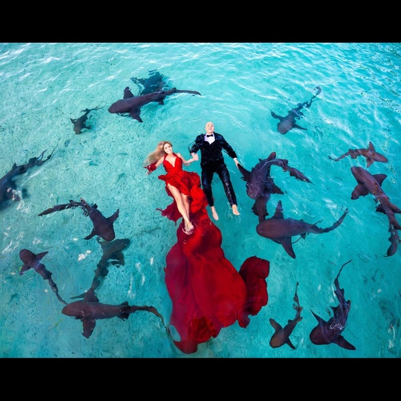 Meet your Posher, Kimmy - Picture 2 of 8